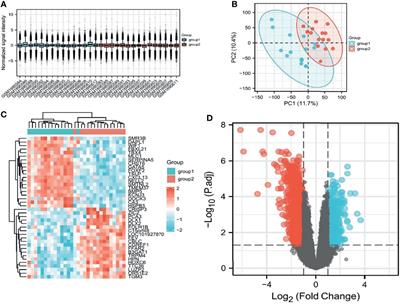 Overexpression of CDCA8 Predicts Poor Prognosis and Promotes Tumor Cell Growth in Prostate Cancer